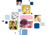 Brochures Design portfolio